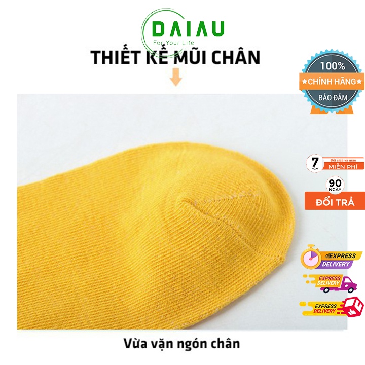 Tất Gấu Nữ  Cổ Ngắn Chất Cotton Thoáng Mát Phong Cách Hàn Quốc Đẹp 10 Màu COMBO 5 Đôi TG10 | BigBuy360 - bigbuy360.vn