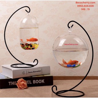 Bể cá mini C33 -15 (bình dưa 20cm)