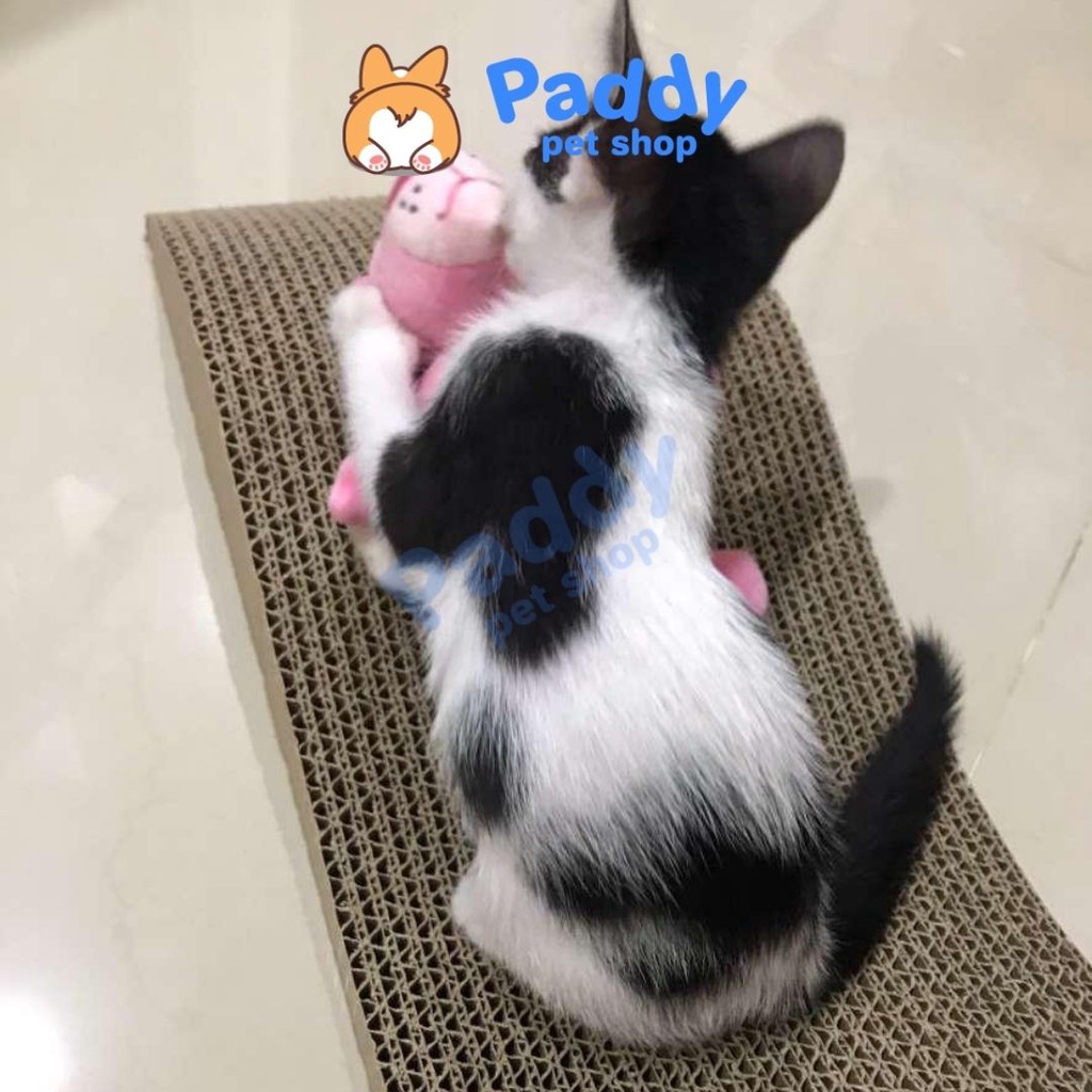 Bàn Cào Móng Giấy Cho Mèo + Tặng Kèm Cỏ Mèo (Catnip/Catmint)