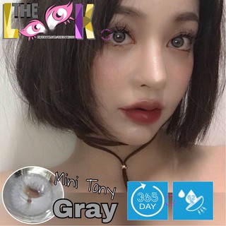 Kính áp tròng mẫu TONY GRAY (Lens)