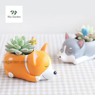 Chậu chó Corgi ngủ trồng cây cảnh để bàn - chậu hình thú