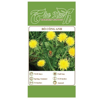 Hạt giống hoa bồ công anh The Xanh Garden Supply
