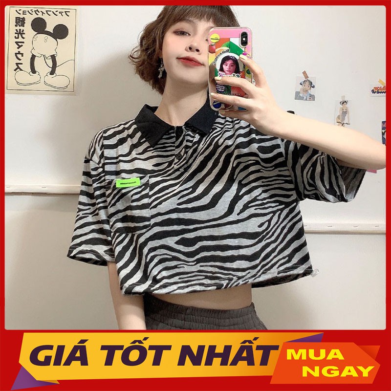 Áo Polo Vằn Ngựa Form Croptop Chất Bao Đẹp M043