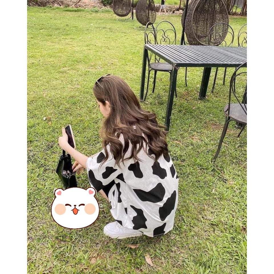 Sét áo phông bò sữa + quần legging ngố HARI0421 | BigBuy360 - bigbuy360.vn