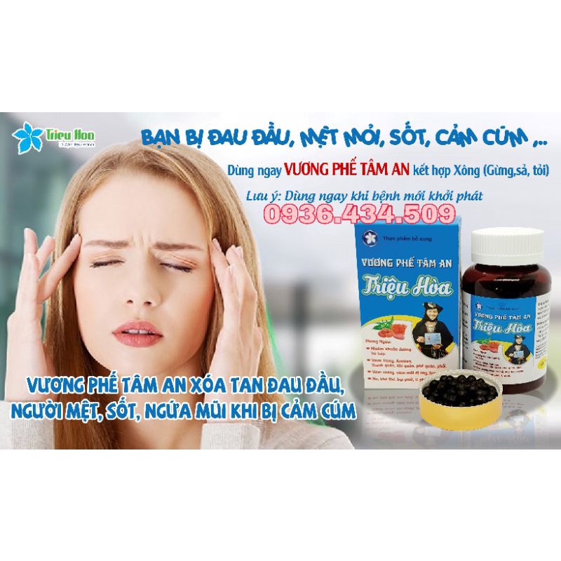 Vương Phế Tâm An Triệu Hoà