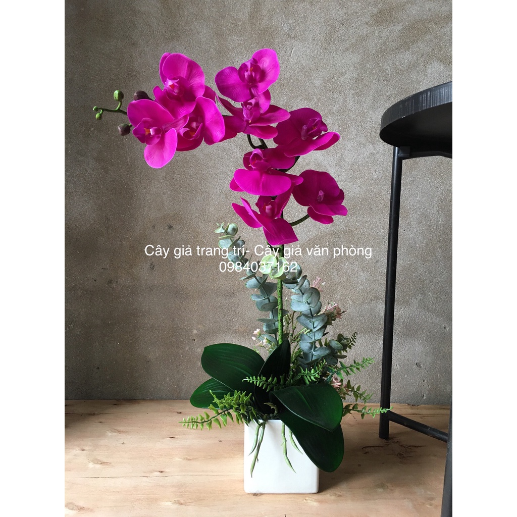 Chậu Hoa Lan Trang Trí Để Bàn - Hoa Giả Để Bàn Kèm Chậu Gốm