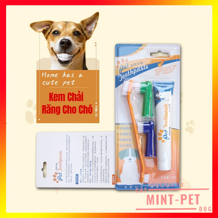 Bộ Kem Đánh Răng Kèm Bàn Chải Cho Chó và Thú Cưng Tuýp 100g #MintPet