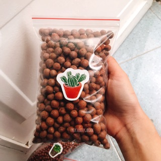 HẠT ĐẤT NUNG TRỒNG CÂY SEN ĐÁ