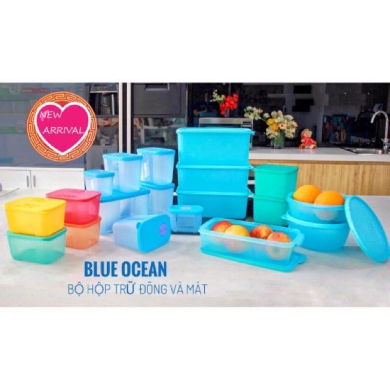 Tupperware bộ hộp trữ đông và mát Blue Ocean 15 hộp km 4 hộp rainbow