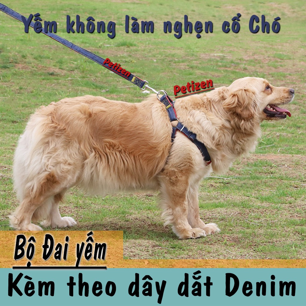 [Chó từ 1-40kg] Bộ Đai Yếm kèm Dây dắt Chó vải bò Denim
