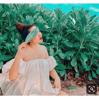 Mh áo sơ mi trễ vai 2 màu trắng và be