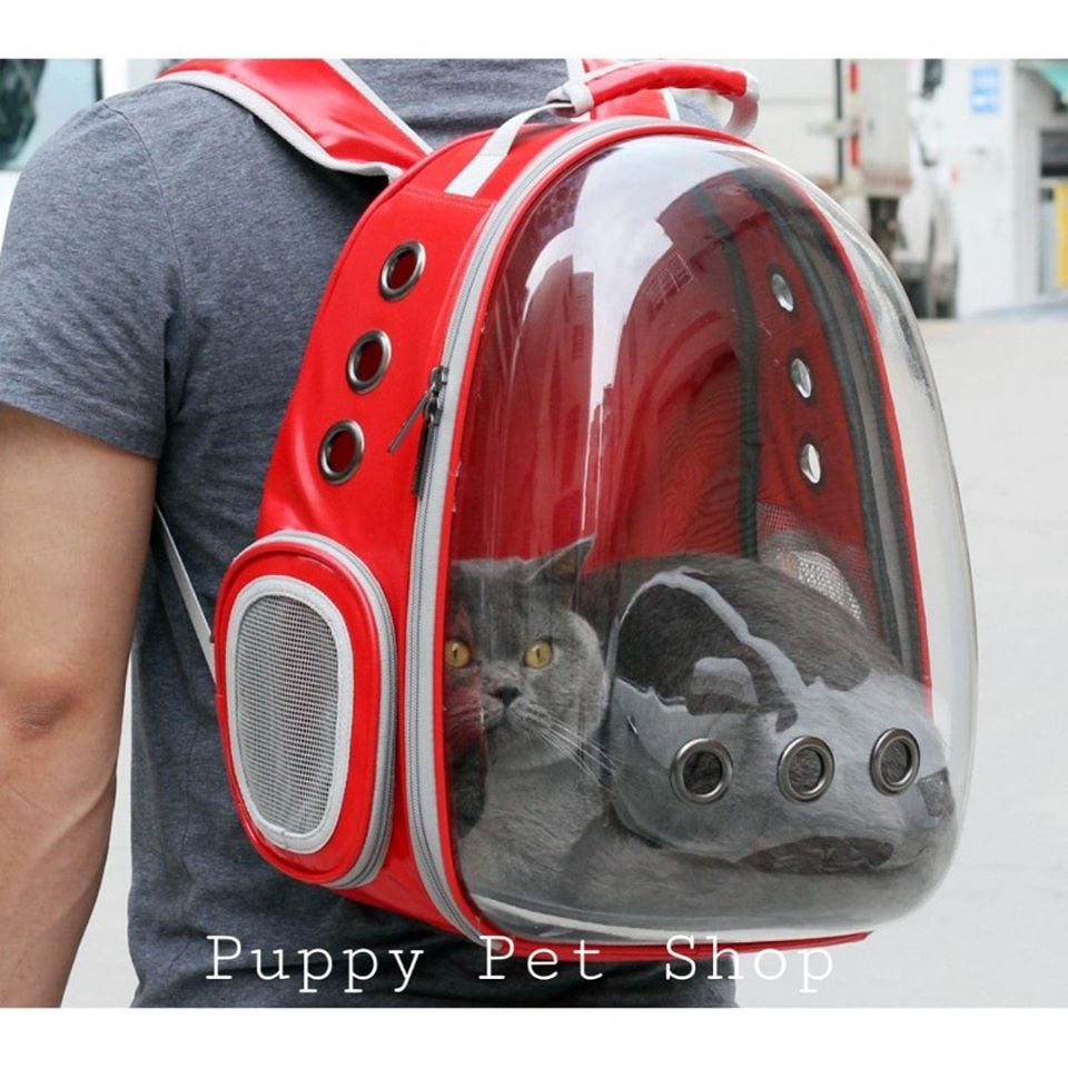 BALO PHI HÀNH GIA TRONG SUỐT