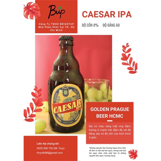 Pack 6 chai bia tươi thủ công Caesar IPA (Craft Beer Caesar IPA) - Độ cồn 8%, Độ đắng 60