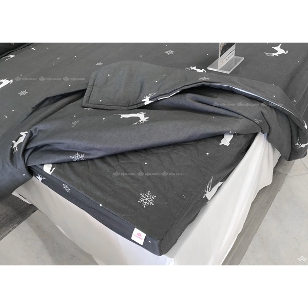 Bộ ga gối Sông Hồng Basic cotton BC22067