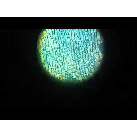 Kính hiển vi Foldscope, chính hãng