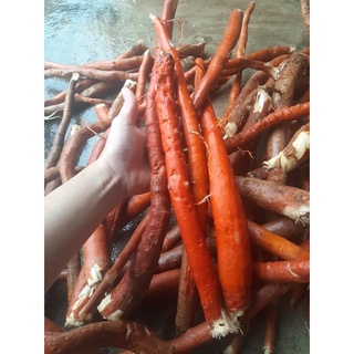 Sâm Cau Đỏ- 1 set/ 2kg- thaoduocsachdaklak