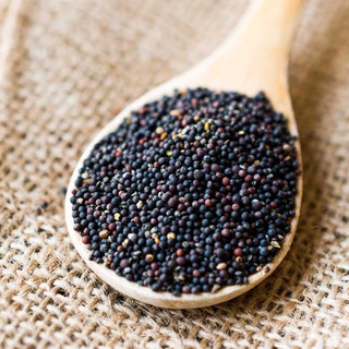 [HÀNG CHÍNH HÃNG] Hạt Mù Tạt Đen – Black Mustard Seed
