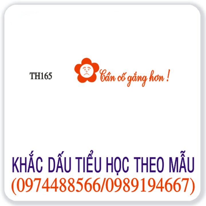 Con dấu tiểu học theo mẫu tiêu chuẩn TH163/164/165/166