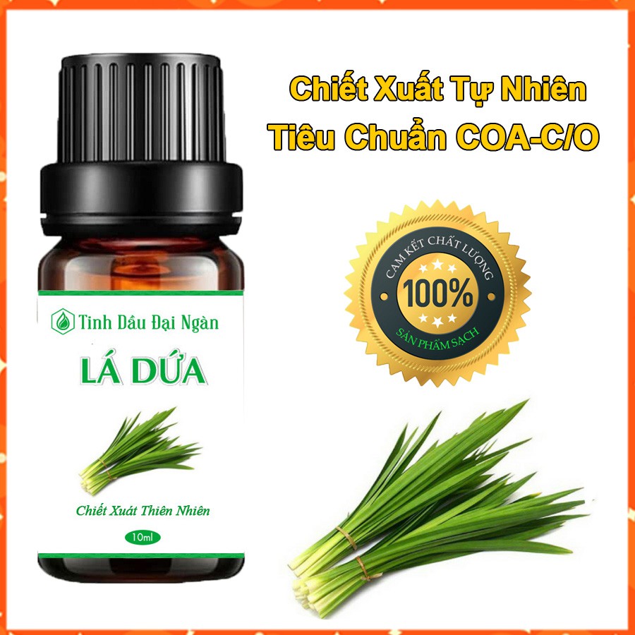 Tinh dầu lá dứa thơm xông phòng hương thiên nhiên 10ml Đại Ngàn