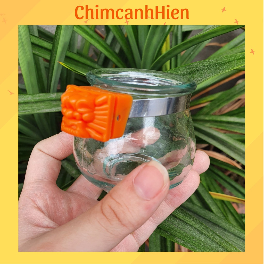 Cóng uống nước cho chim chào mào, chim khướu chất liệu thủy tinh