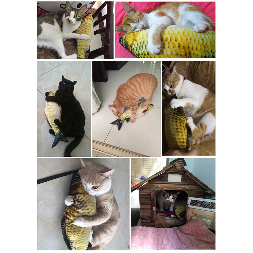 Cá giả làm đồ chơi cho mèo cưng