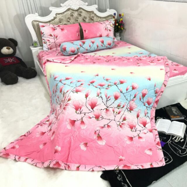 Cotton Hàn Quốc