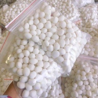 BỘT LỌC VIÊN DỪA