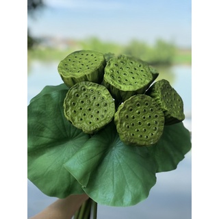 Sen Quan Âm Bất Tử_Hoa lụa