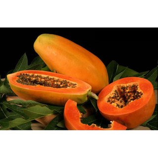 HẠT ĐU ĐỦ F1 ĐÀI LOAN RUỘT ĐỎ - GÓI 10 HẠT