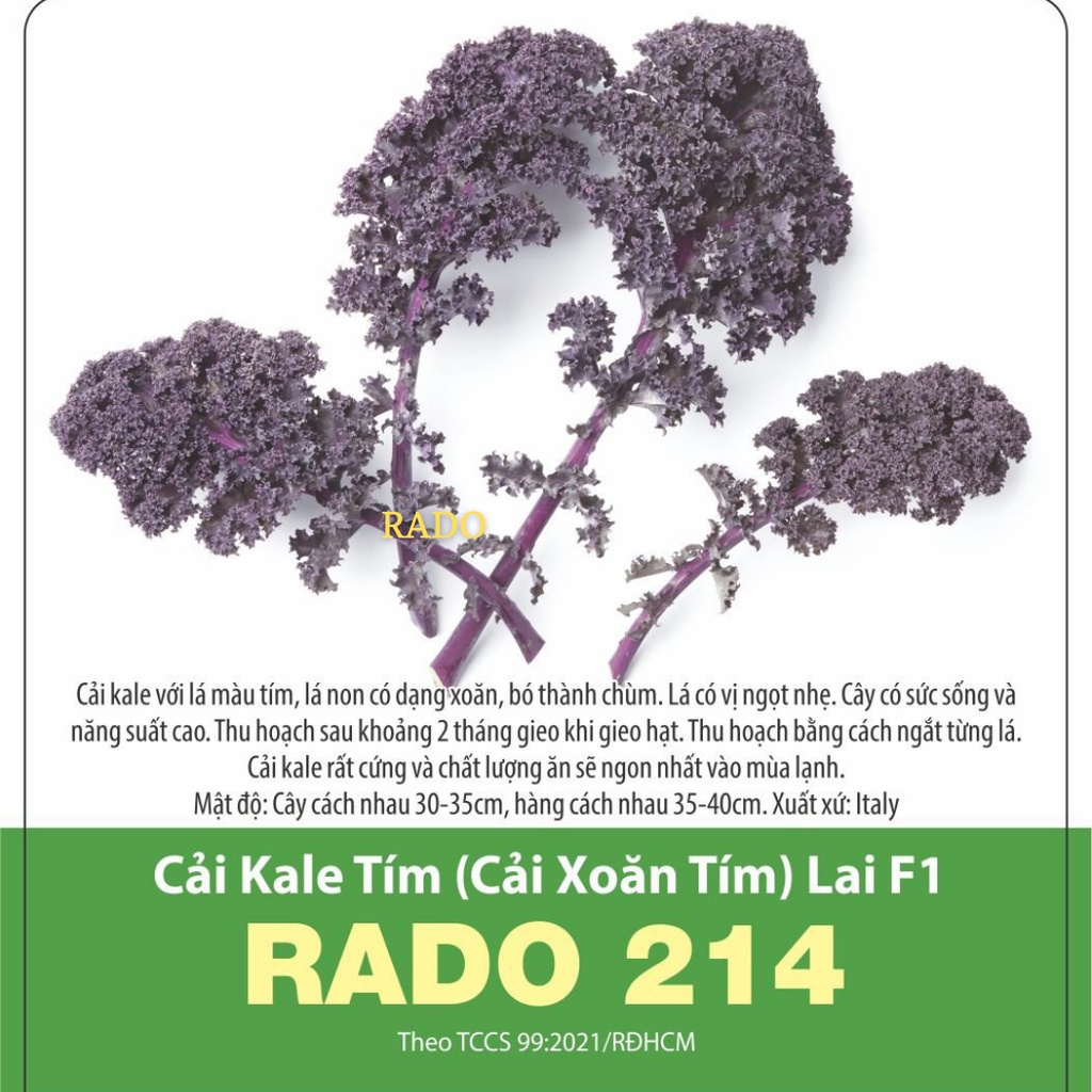 Hạt Giống Cải Kale Tím - 1gr
