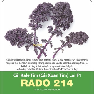Hạt giống cải kale tím - 1gr