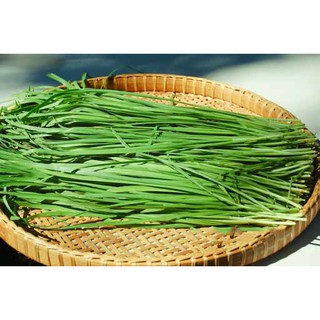 Gói 1g hạt giống hẹ cao sản