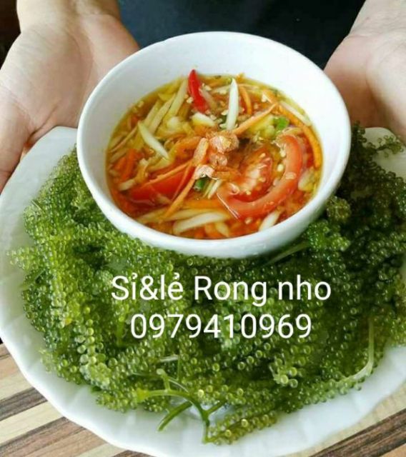 (Sỉ 2kg) Rong nho tách nước tặng 20 gói sốt mè. rong nho khô