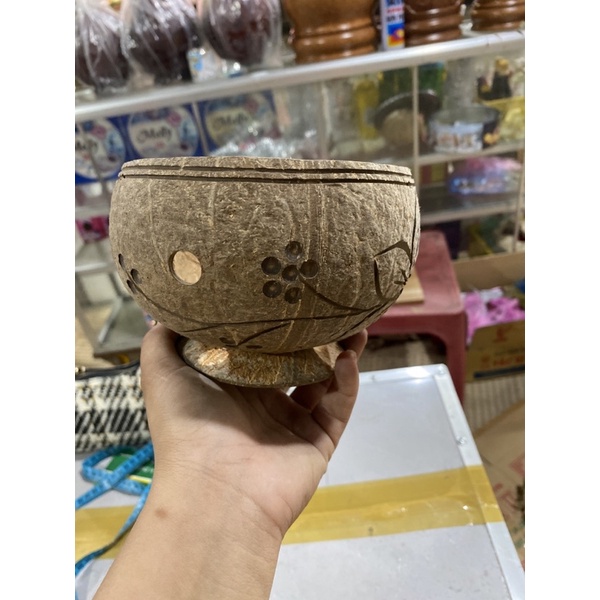 Chậu trồng cây gáo dừa