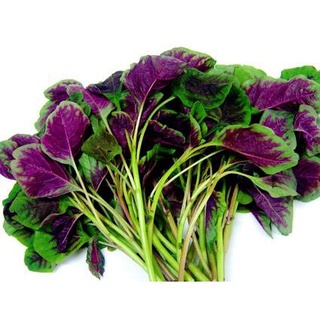 Hạt giống rau dền khoang 10g