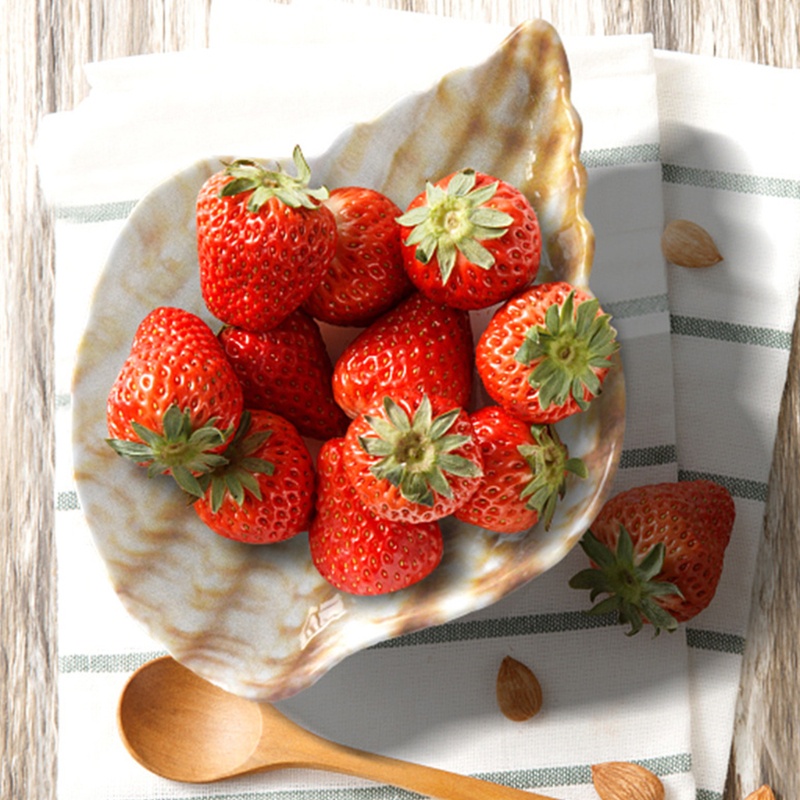 Khuôn NhựA NhiềU MàU SắC Để LàM BáNh Kem TiệN DụNg