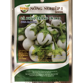 HẠT GIỐNG CÀ PHÁO TRẮNG CAO SẢN LOẠI 2G (NN.262)
