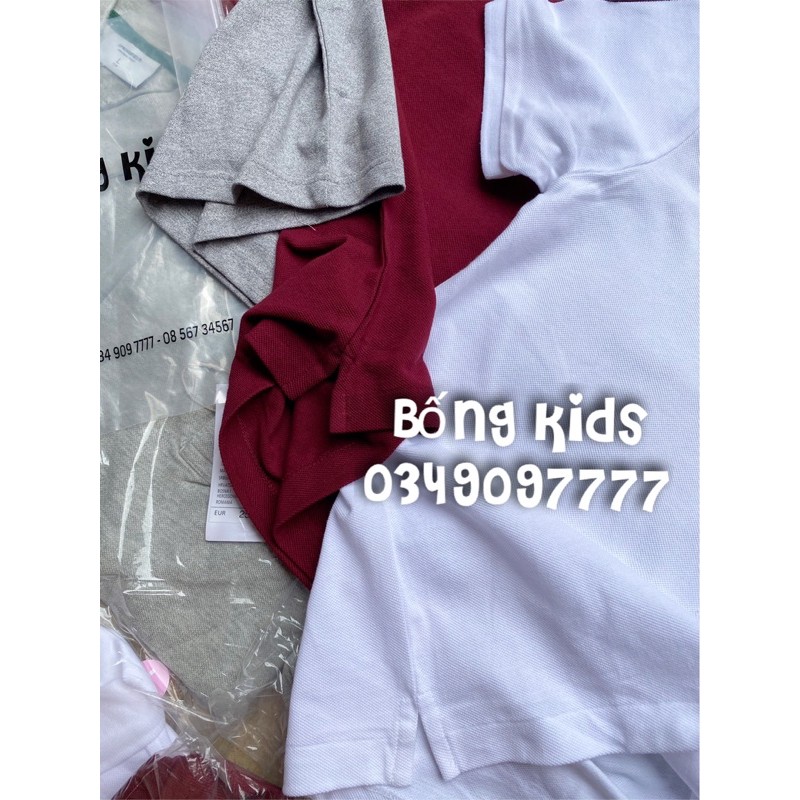 Áo Polo Nam Thoáng Khí SPRINGFIELD | BigBuy360 - bigbuy360.vn