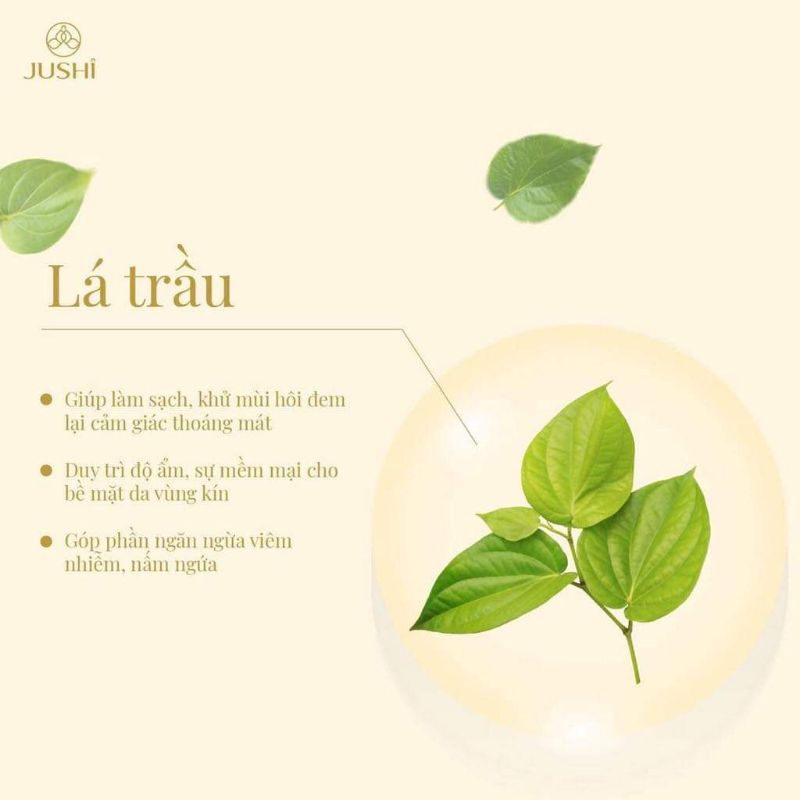 Dung dịch vệ sinh phụ nữ KAZUMI JUSHI