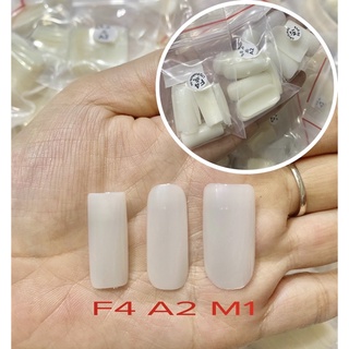 Móng A2-F4 Tập Vẽ
