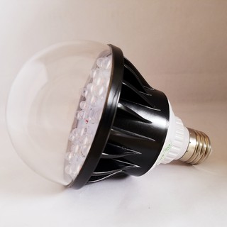 Đèn Hoa Lan 20W Thế Hệ Mới