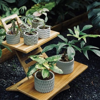 Chậu cây cảnh mini bằng Ximang Cori 11x8cm, Thích hợp trồng cây bonsai trồng cây xương rồng, sen đá