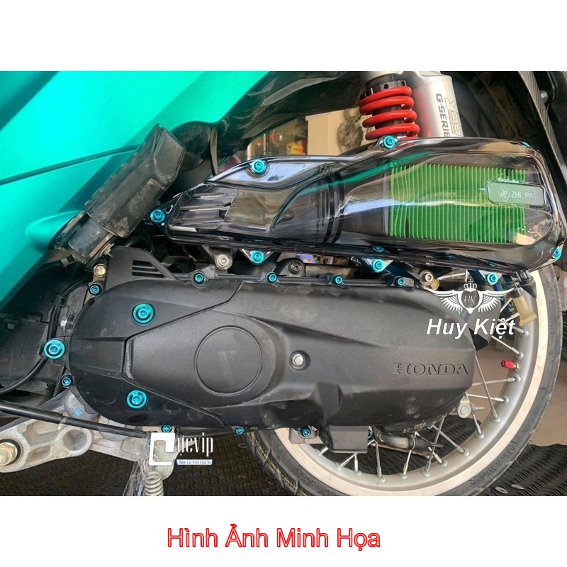 Bộ Ốc Lốc Máy Titan Thật GR5 Cho Vision 2011 - 2022 (14 Con) MS4977