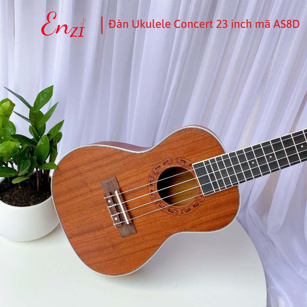 Đàn ukulele concert AS2D Enzi 23 inch gỗ mộc trơn khóa đúc giá rẻ cho bạn mới bắt đầu tập chơi