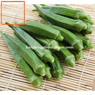 10GR - HẠT GIỐNG ĐẬU BẮP XANH CAO SẢN SIÊU LÙN Hạt Giống Nông Trại Xanh