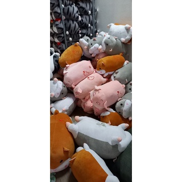Gấu kèm chăn, chăn gối văn phòng heo hí, gấu 2in1, heo có chăn bên trong