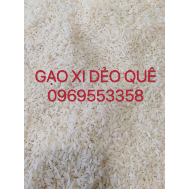 GẠO XI DẺO QUÊ - VỤ MỚI  [FREESHIP GIÁ SỈ] 5KG