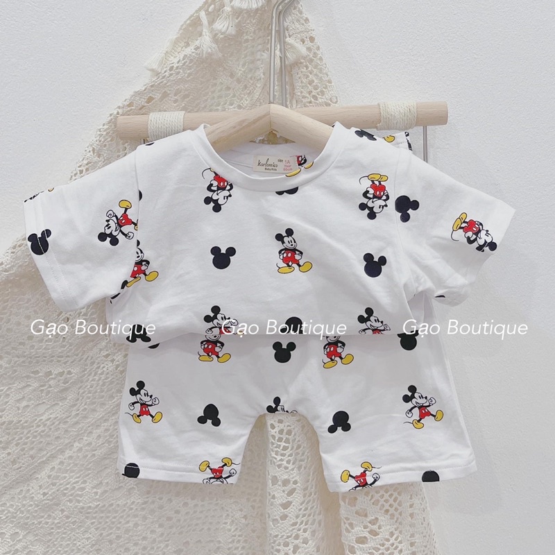 Bộ thun cotton hè cho bé trai 6-15kg