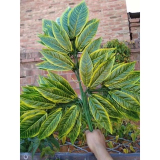 Combo 10 Cành lá kim tứ - Lá giả