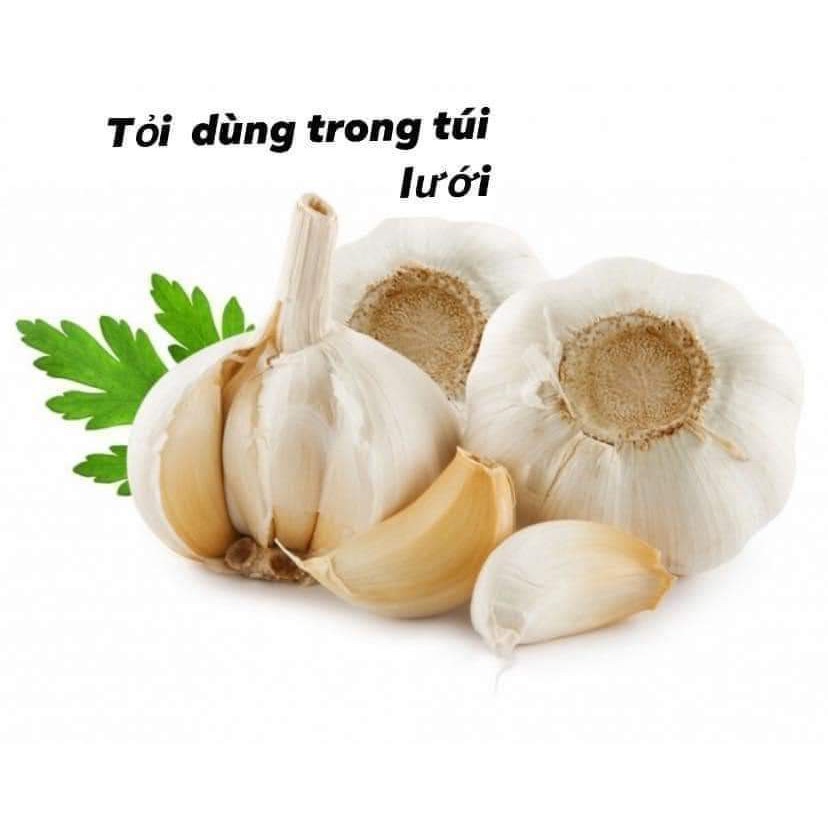 Túi Lưới Treo Tường Đựng Thực Phẩm Đa Năng, Bảo Quản Được Lâu, Giữ Vệ Sinh